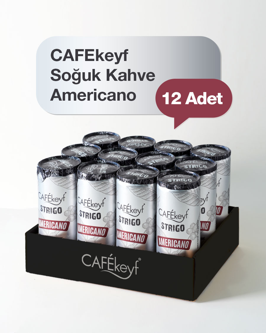 CAFEkeyf Soğuk Kahve Americano (Şeker İlavesiz)
