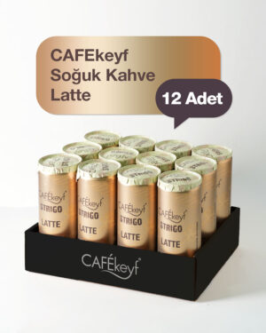 CAFEkeyf Soğuk Kahve Latte (Şeker İlavesiz)